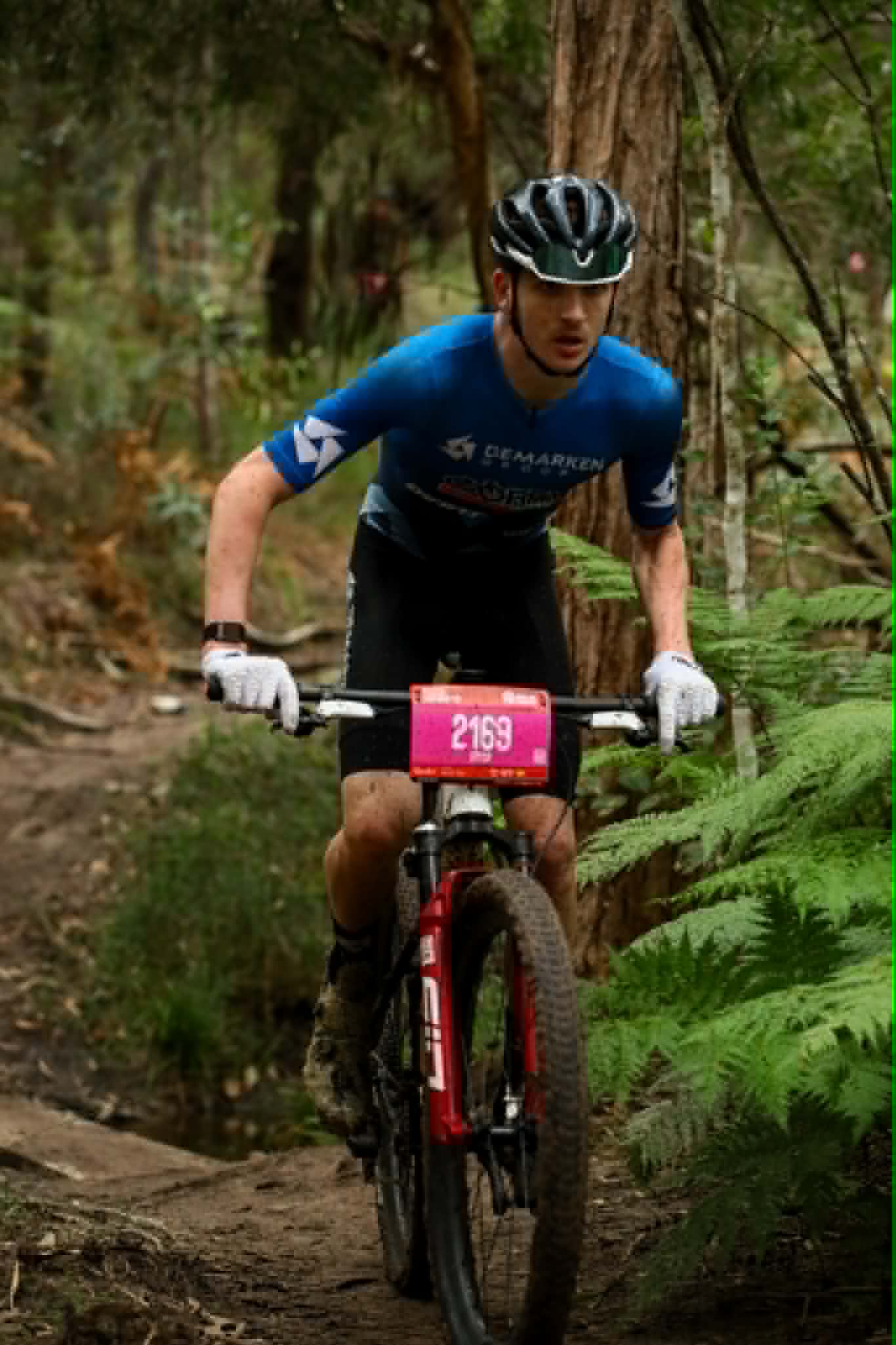 Mountain Bikes
