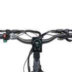 IC300 URB 1.0 CARGO E-BIKE POWER BLUE