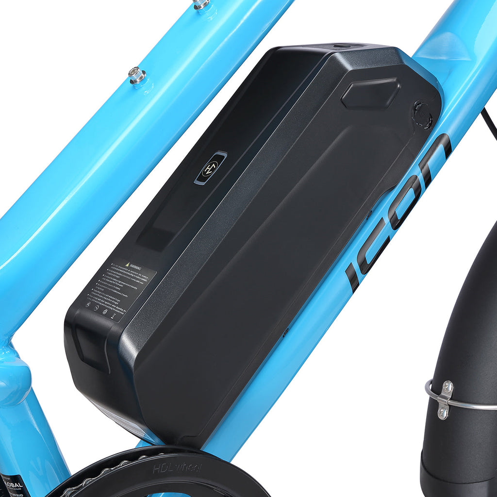 IC300 URB 1.0 CARGO E-BIKE POWER BLUE