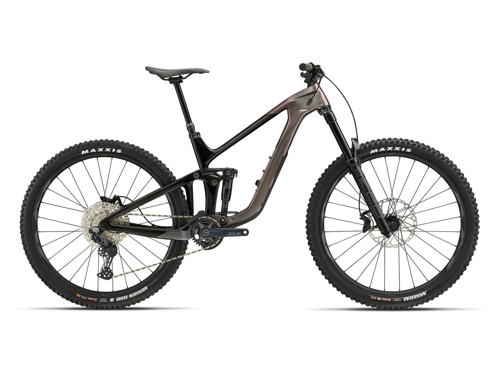 29 GIANT 2023 REIGN REIGN ADVANCED PRO 2 L ORION NEBULA/CARBON