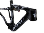 Anthem Advanced SL-FR World Champion