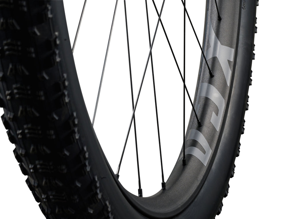 Anthem Advanced SL 2