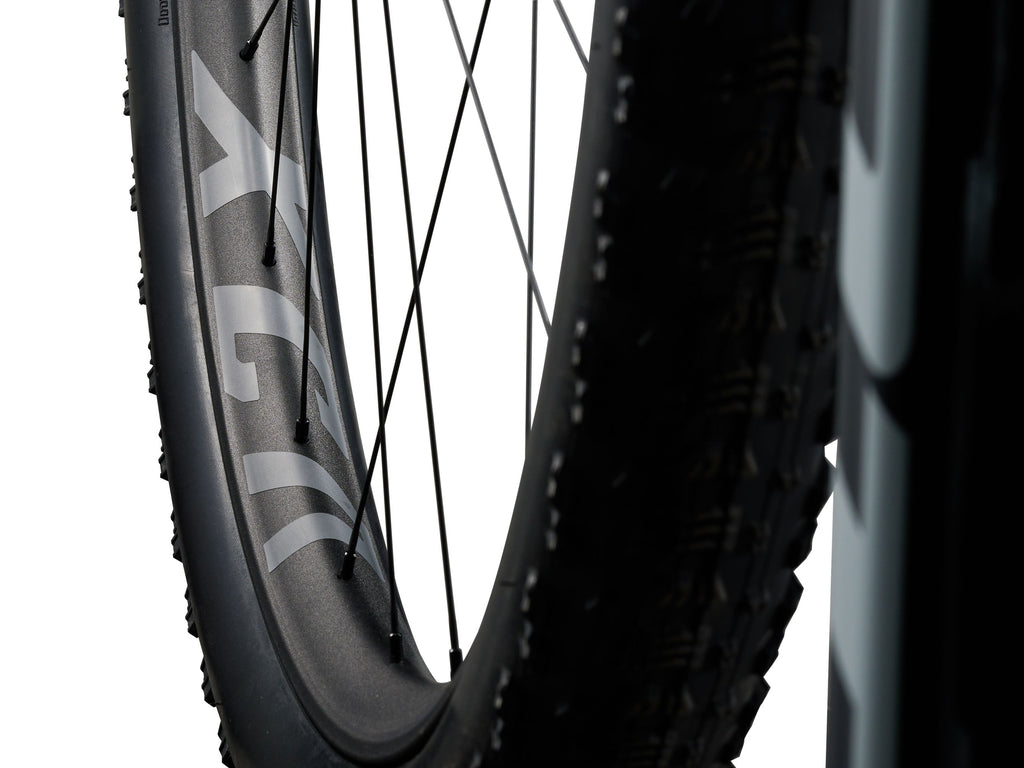Anthem Advanced SL 2