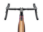 Defy Advanced E+ Elite 1 25km/h