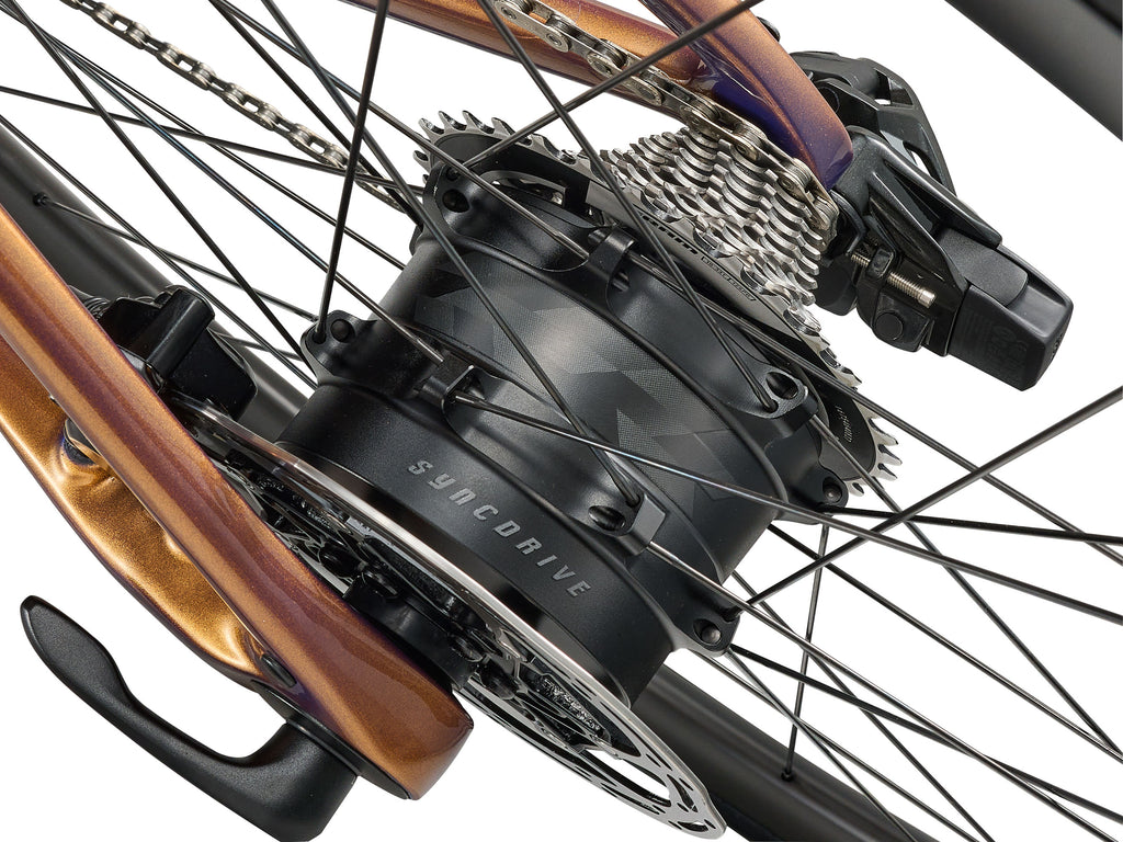 Defy Advanced E+ Elite 1 25km/h