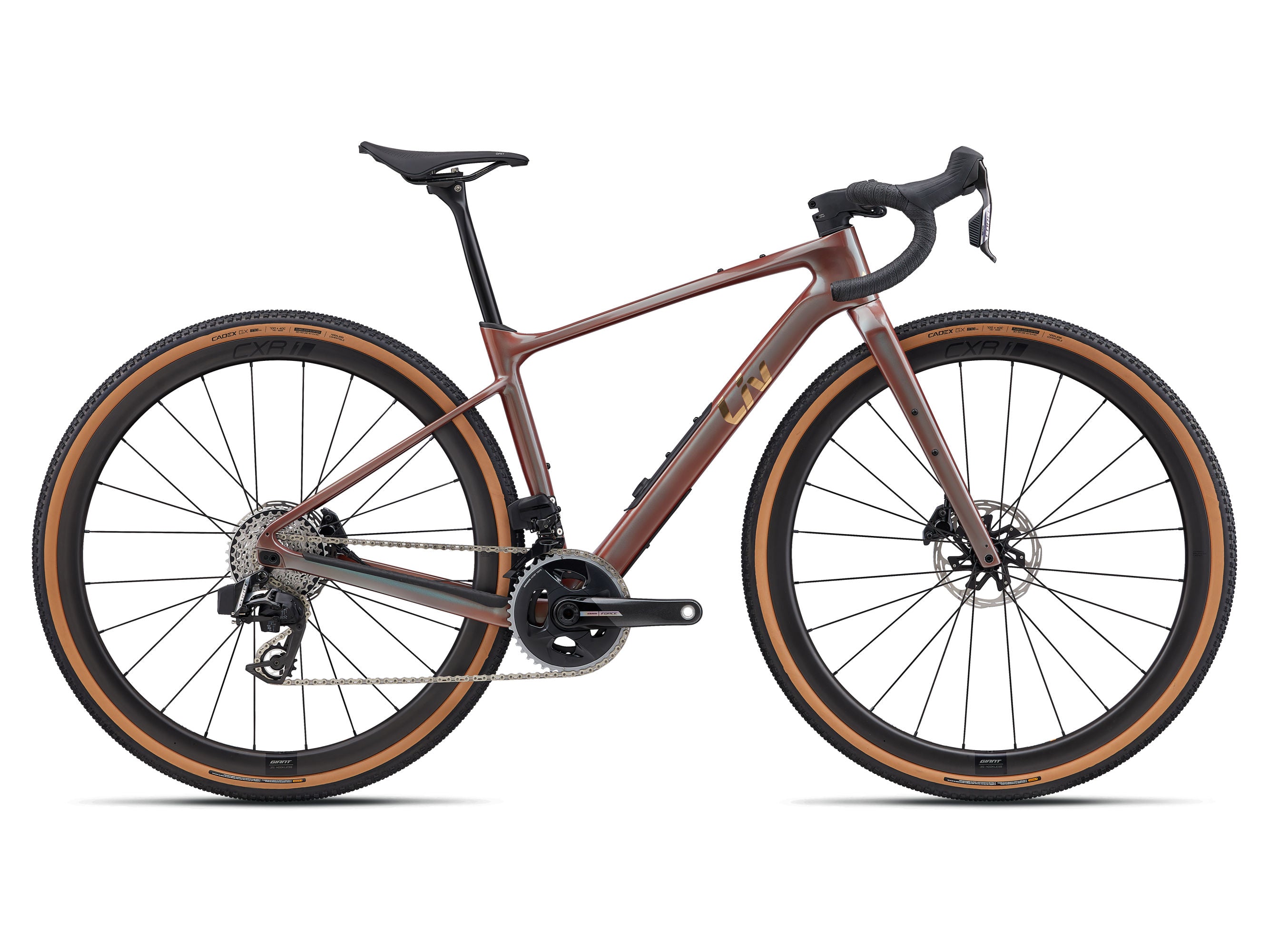 Devote Advanced Pro