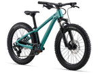 20 GIANT 2026 STP 20 TEAL