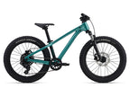 20 GIANT 2026 STP 20 TEAL