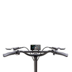 BOLZZEN PHOENIX 6026